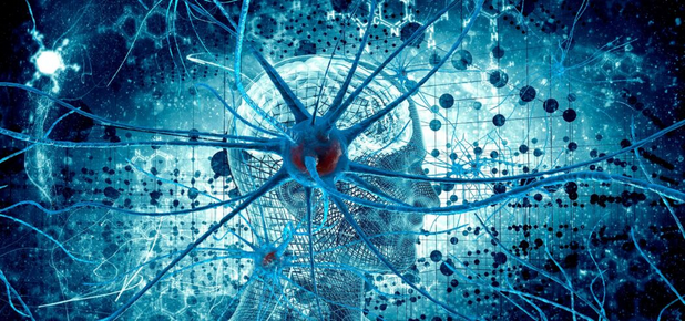 [Ольга Сварник] Введение в когнитивную нейронауку._0.png